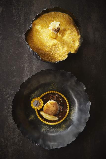 Le Chabichou - La St Jacques Mais